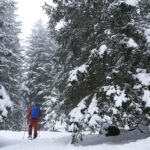 Un week-end hivernal sans ski dans les Montagnes d'Annecy