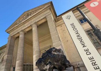 Vol de musée : Vol d&rsquo;or dans un musée de Paris : Une jeune femme interpellée