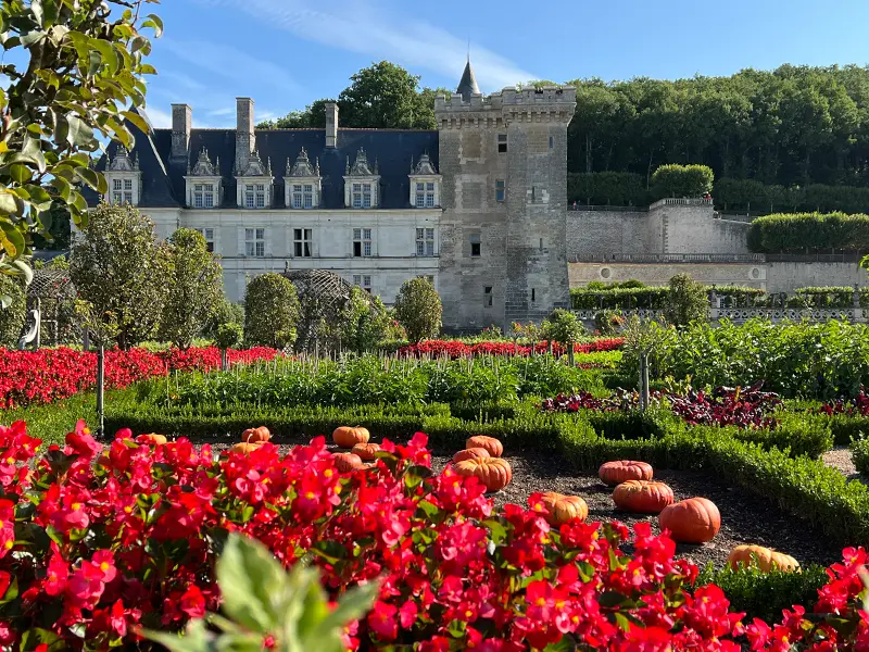 Photo Janine Marsh Potagers de Villandry