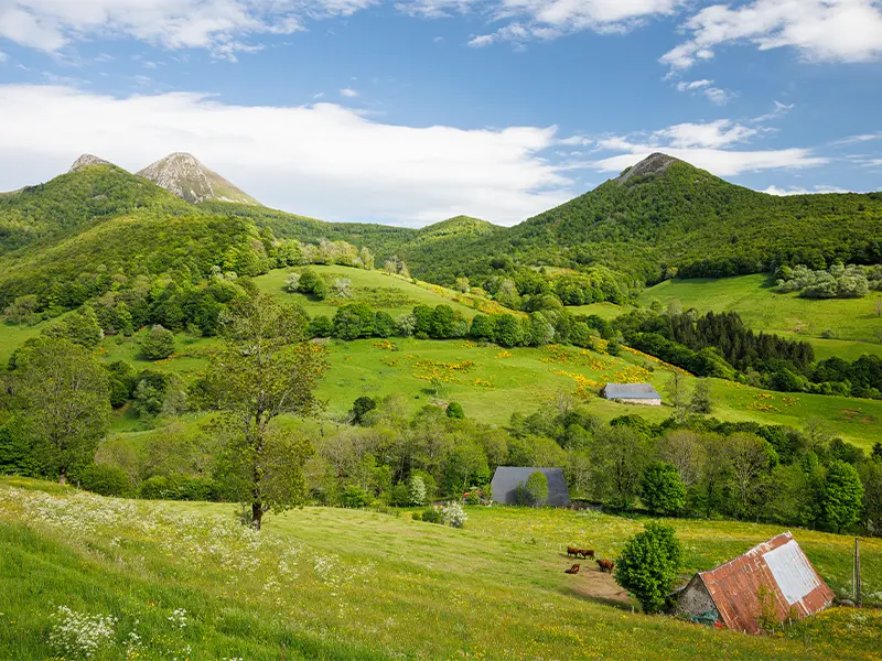 Campagne près du Puy Mary © Jeremy Flint