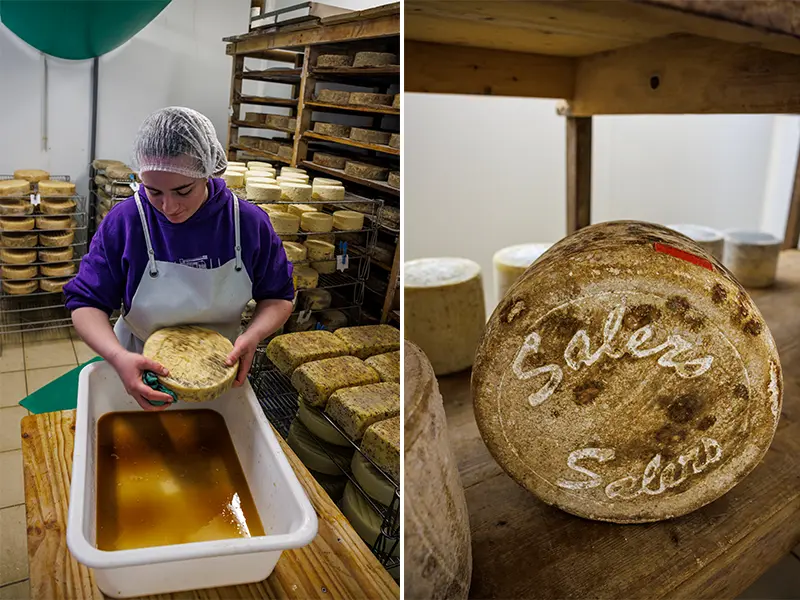 Route des fromages d'Auvergne