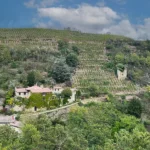 Que voir et que faire en Loire Rhône-Alpes