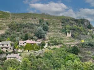 Que voir et que faire en Loire Rhône-Alpes