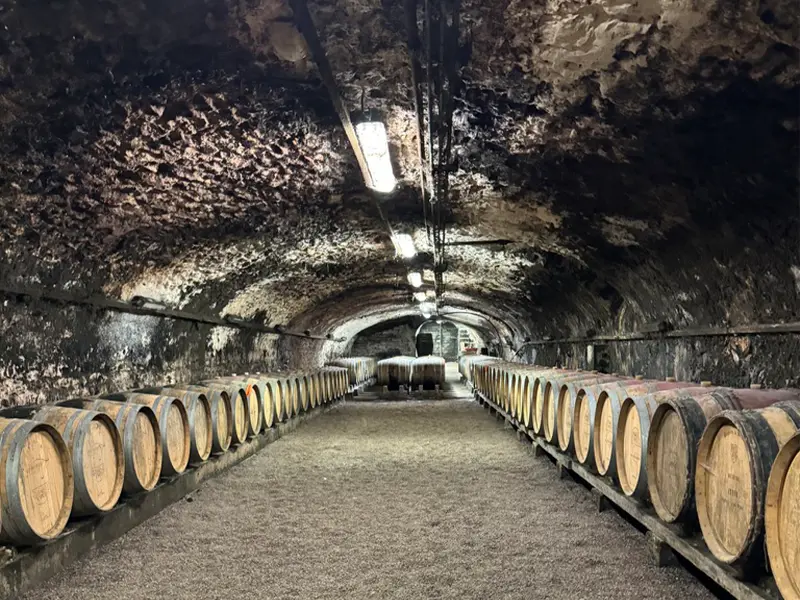 Photo Janine Marsh Caves du Château de Lachassange, Beaujolais
