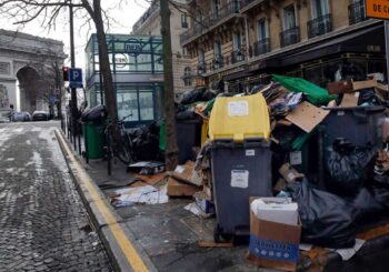 Peste des rats : Campagne électorale à Paris – des millions de rats provoquent des disputes