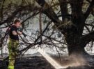 Incendies naturels : incendies aux Pays-Bas – les pompiers allemands aident