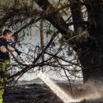 Incendies naturels : incendies aux Pays-Bas - les pompiers allemands aident