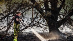 Incendies naturels : incendies aux Pays-Bas - les pompiers allemands aident