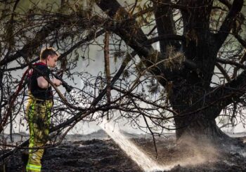 Incendies naturels : incendies aux Pays-Bas – les pompiers allemands aident