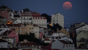 Abandonnés dans la forêt : Rapports : Une mère d'enfants abandonnés au Portugal capturée