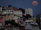 Cas au Portugal : les frères abandonnés sont autorisés à rentrer en France