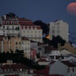 Cas au Portugal : les frères abandonnés sont autorisés à rentrer en France