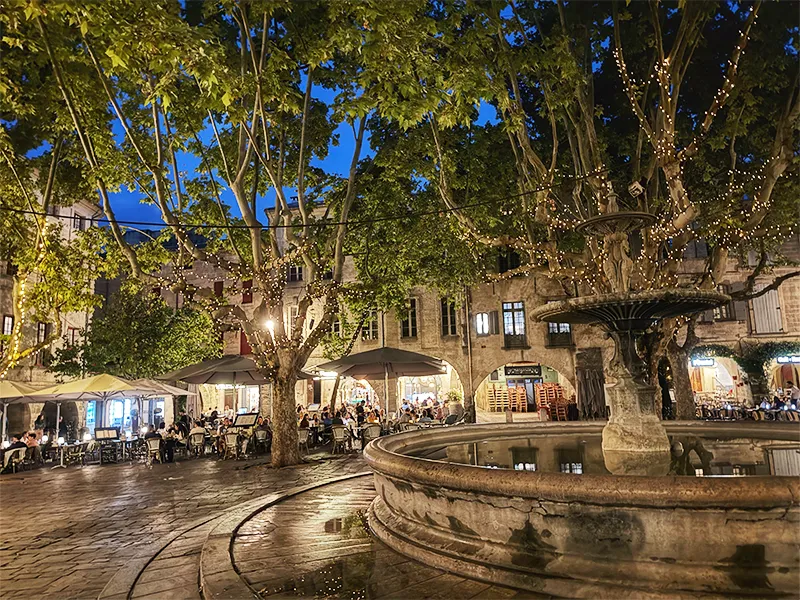 Photo Janine Marsh La soirée sur la Place Aux Herbes est magique avec les lumières scintillantes des platanes