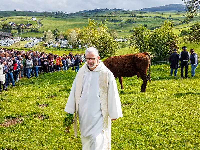 © Jérémy Flint Bénédiction des vaches - Transhumance en France