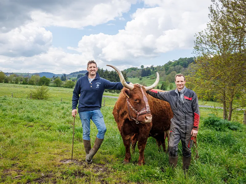 © Jérémy Flint Nicolas et Julian Theron, des agriculteurs qui perpétuent la tradition de la transhumance en Auvergne