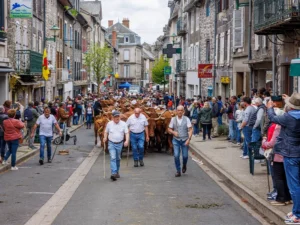 Transhumance en France – région Auvergne