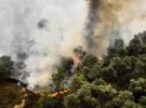 Incendies de forêt aux États-Unis et en Europe : des dizaines de milliers doivent fuir, là où les feux font rage