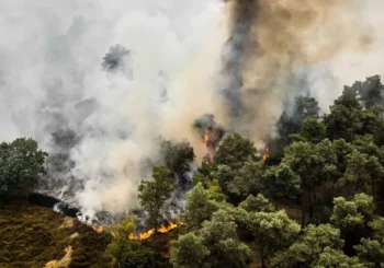 Incendies de forêt aux États-Unis et en Europe : des dizaines de milliers doivent fuir, là où les feux font rage