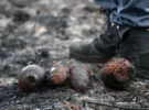 Arsenal découvert sur la côte atlantique : des démineurs trouvent d&rsquo;anciennes grenades dans une zone touchée par les incendies de forêt