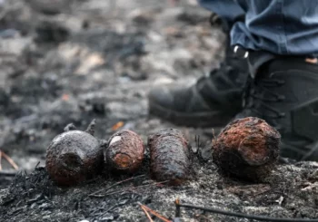 Arsenal découvert sur la côte atlantique : des démineurs trouvent d&rsquo;anciennes grenades dans une zone touchée par les incendies de forêt