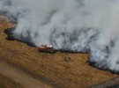 Ce qui alimente les feux : le risque d’incendies de forêt en Europe du Sud en forte hausse – voici les raisons