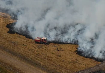 Ce qui alimente les feux : le risque d’incendies de forêt en Europe du Sud en forte hausse – voici les raisons