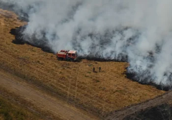 Chaleur, sécheresse et vent : le risque d&rsquo;incendie de forêt en Europe du Sud a fortement augmenté