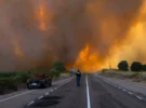 Nouveaux incendies de forêt en Europe : mers de flammes sans fin