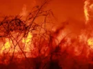Incendies de forêt hors de contrôle : des milliers doivent fuir dans le sud de l’Europe – des pompiers morts