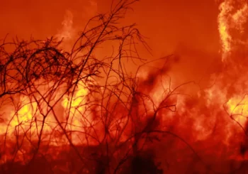 Incendies de forêt hors de contrôle : des milliers doivent fuir dans le sud de l’Europe – des pompiers morts