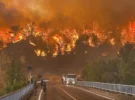 Incendies de forêt dans les zones touristiques : de graves incendies en Grèce et en Turquie – plusieurs morts