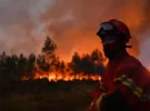 Incendies de forêt en France et en Espagne : état des lieux dans les régions du Sud de l’Europe