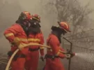 Guide de protection lors des incendies de forêt : rester chez soi et porter un masque FFP2