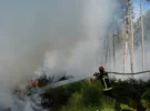 Incendies de forêt en France : existe-t-il une alerte voyage ?