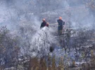 Lutte contre les flammes: tout savoir sur les feux de forêt du sud de la France