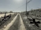 Apocalypse Now : comment le changement climatique transforme les incendies de forêt en enfers de feu