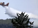 Incendies de forêt en France : carte en temps réel des zones en flammes