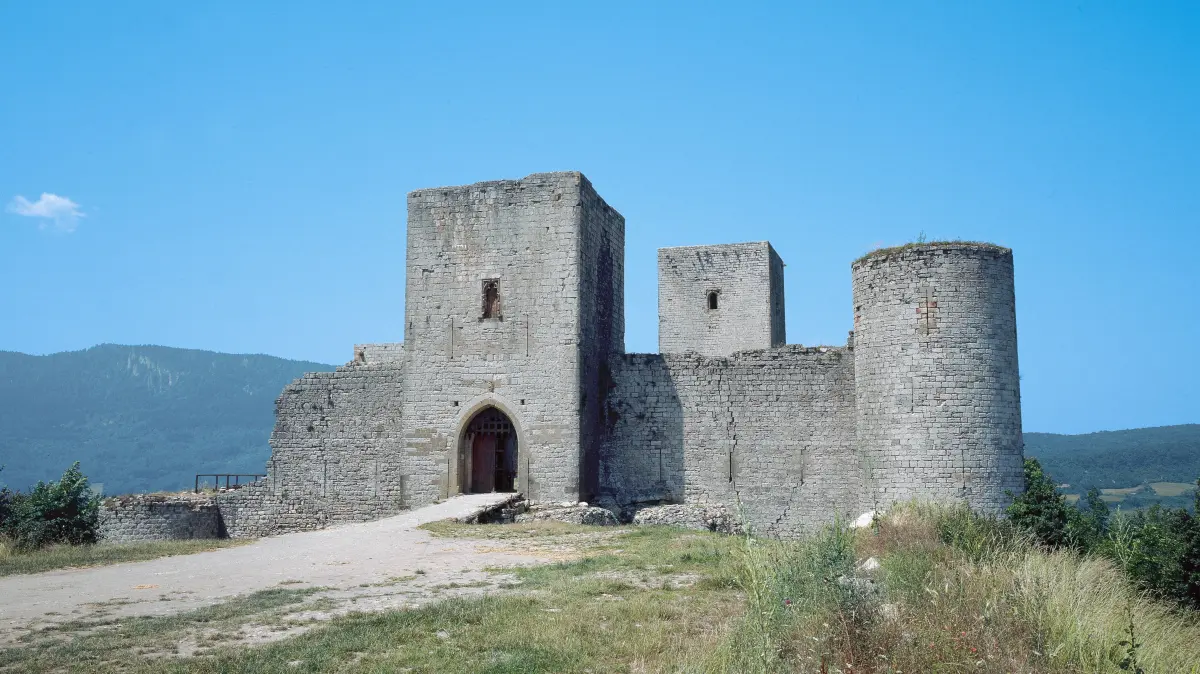 La Burg Puivert befand sich im Besitz der Familie de Congost, die mit den Katharern sympathisierte. 1210 kapitulierte sie nach kurzer Belagerung.